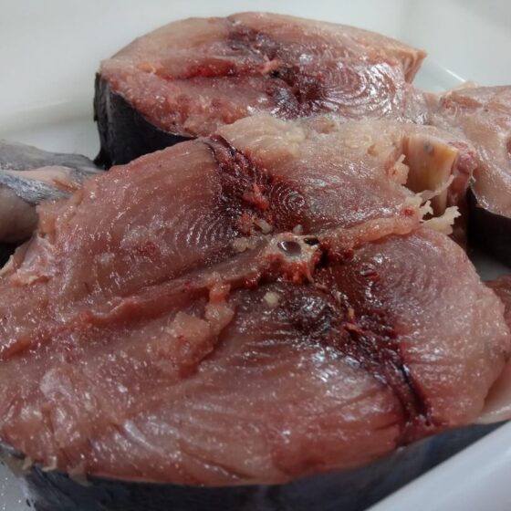 Bonito del norte - Imagen 4