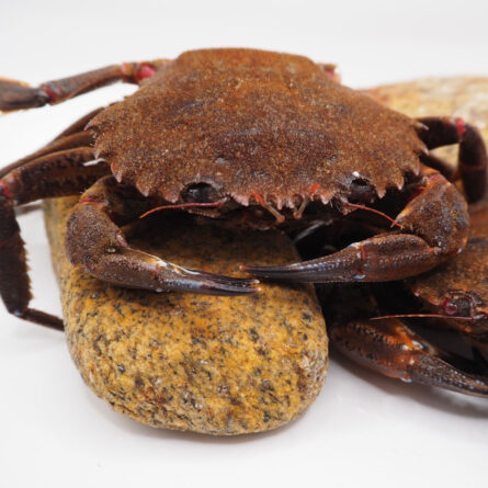 comprar necoras de la ria a domicilio