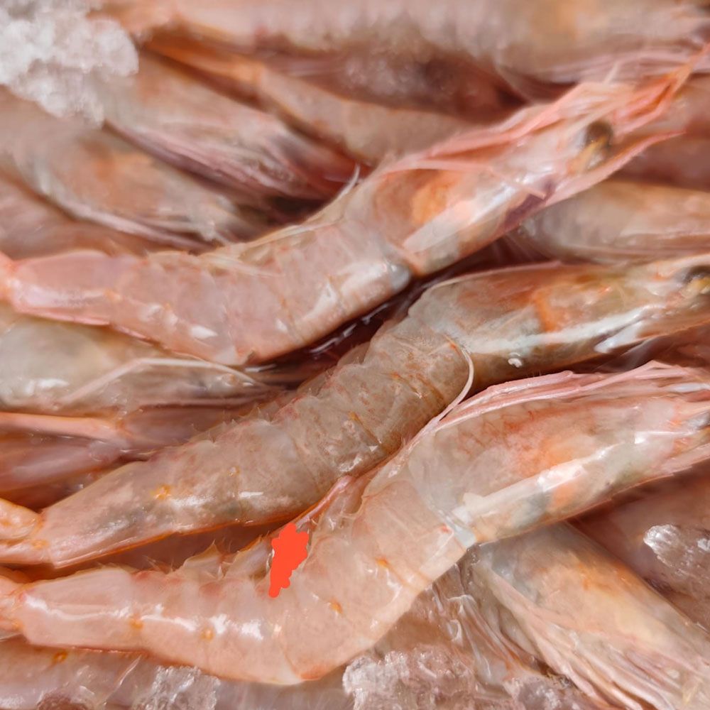 gamba-de-huelva-a-domicilio