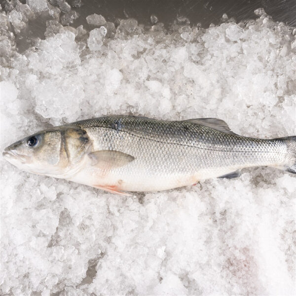 Lubina salvaje - Imagen 3