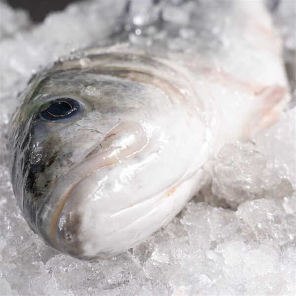 Lubina salvaje - Imagen 2