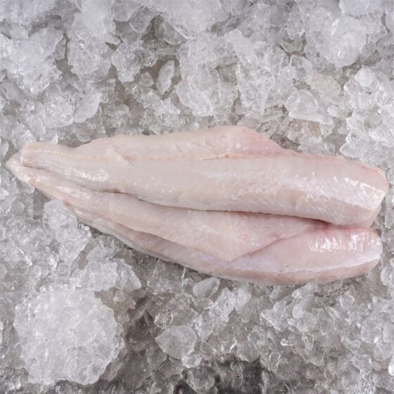 Merluza europea - Imagen 2