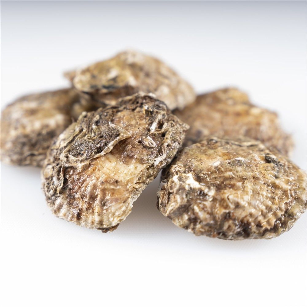 ostras_gallegas_a_domicilio_10_