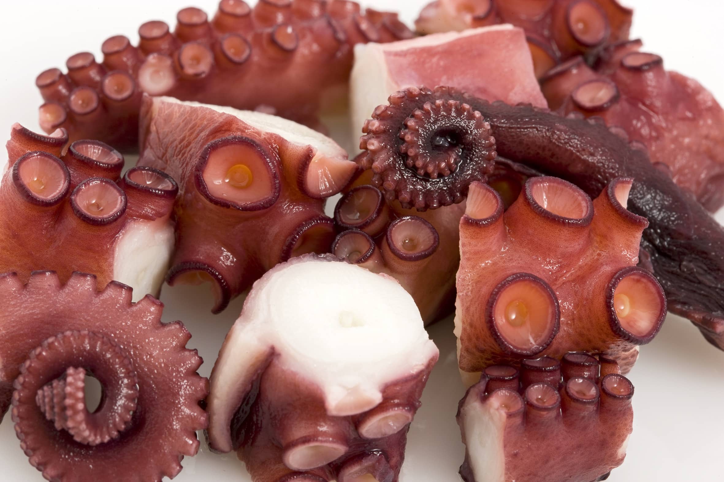 pulpo_cocido_troceado_02