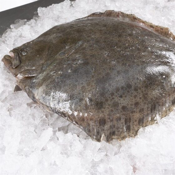 Rodaballo salvaje - Imagen 2