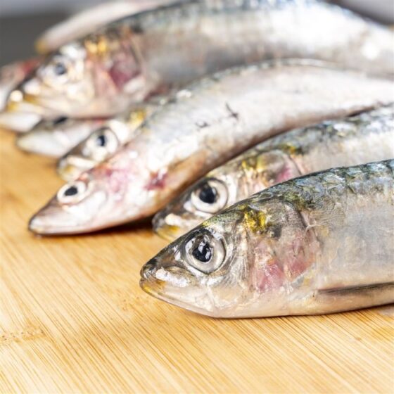 Sardinas - Imagen 3