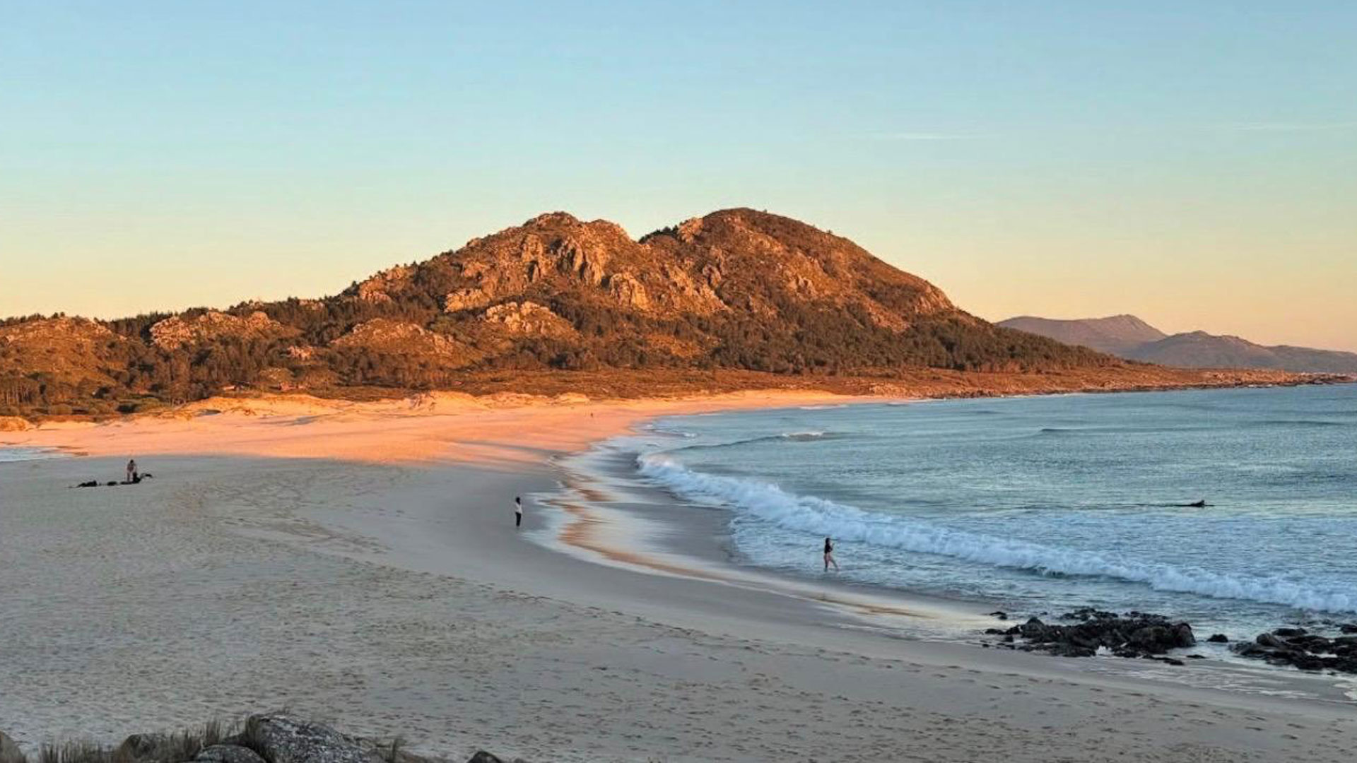 Marisco y pescado a domicilio Area Maior