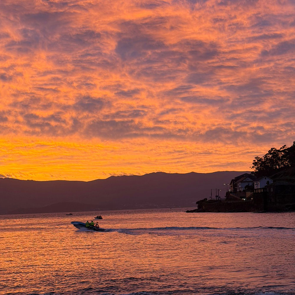 pescaderia online mariscos y pescados area maior