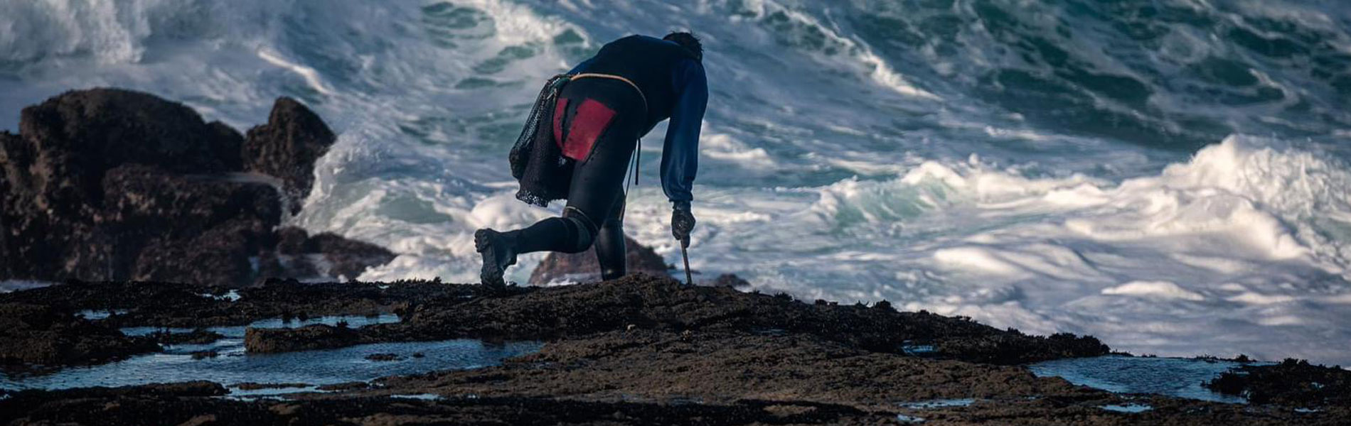 pescaderia online de galicia
